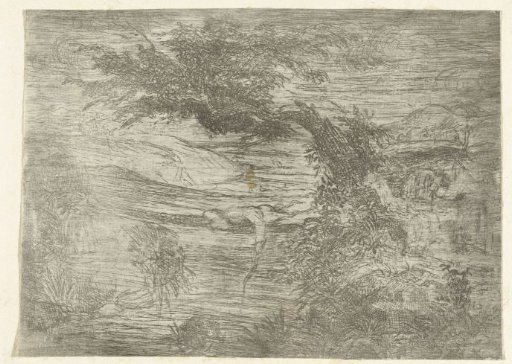 Landscape with fisherman