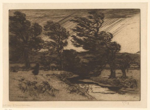 Landscape with trees and stream in a storm