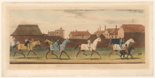 Training of racehorses at Newmarket