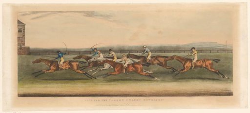 Six riders in a race at Newmarket