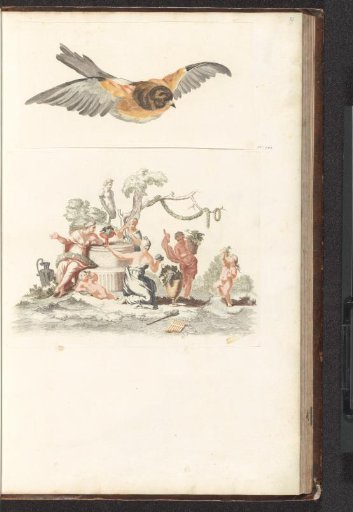 Flying titmouse