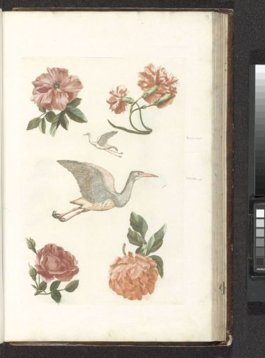 Flowers, Crane, and Bittern
