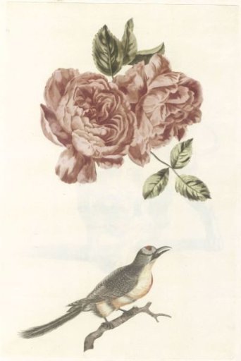 Two Roses and a Bird with a Notched Beak