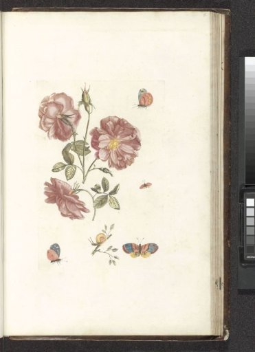 Two branches with roses, four butterflies, and a snail