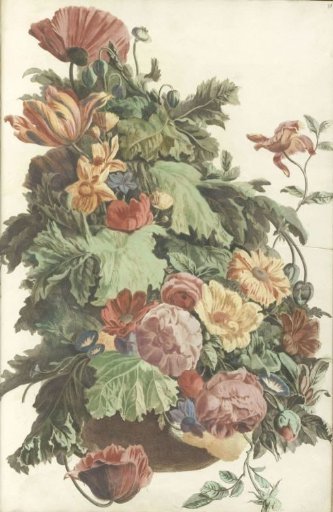 Flowers and leaves in a pot