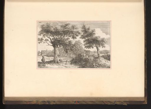 Landscape with trees