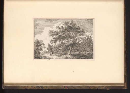 Landscape with trees