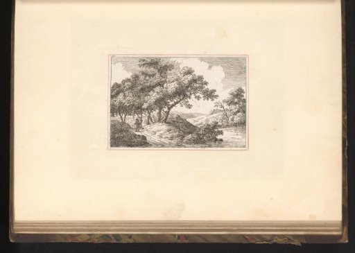 Landscape with trees and a pedestrian