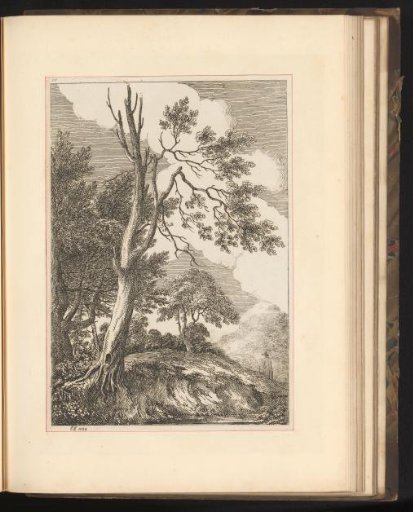 Landscape with trees