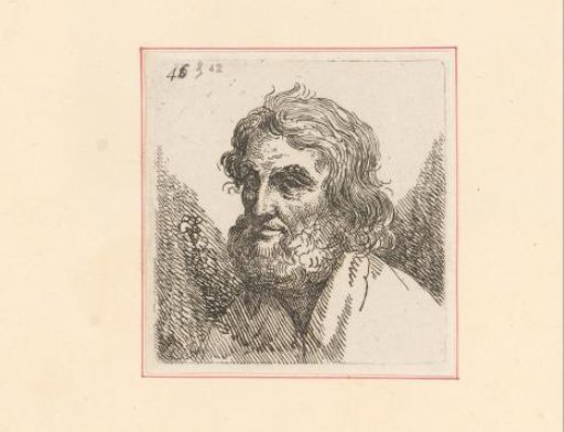 Head of an unknown man