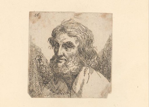 Head of an unknown man