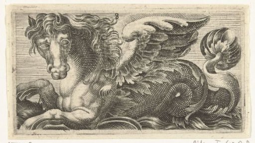 Winged seahorse with a knob of leaves at its tail