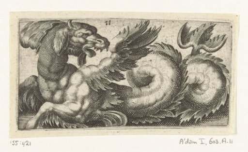 Winged seal looking back