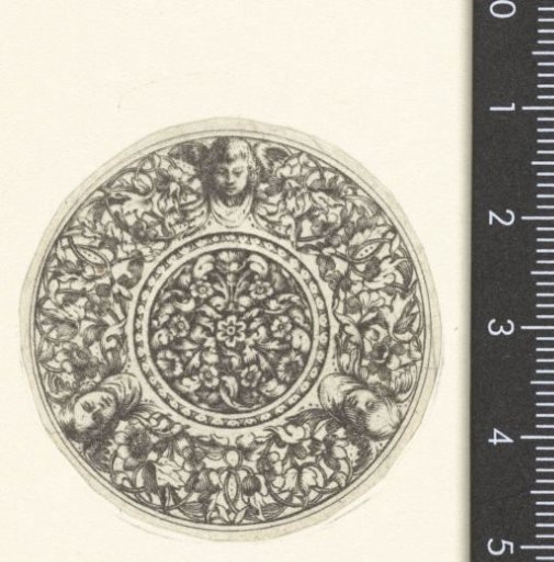 Medallion with flowers, vines, and cherubs
