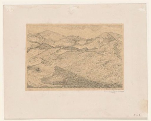 Dune Landscape