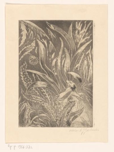 Salamander in tall grass