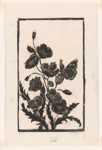 Poppies with Butterfly