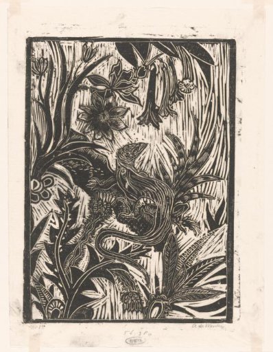 Lizard
