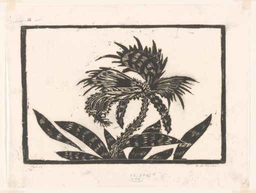 Plant with flower