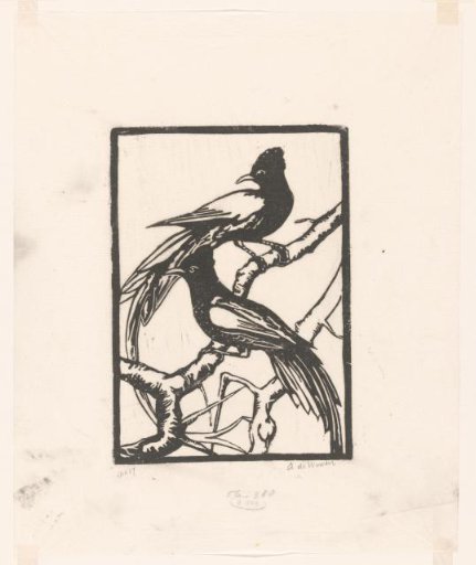 Two Birds on a Branch