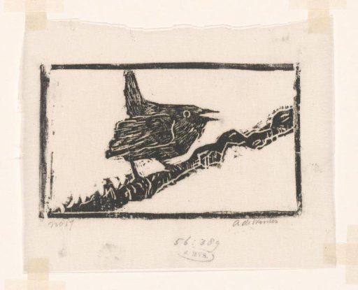Bird on a branch