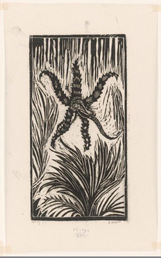 Star-shaped flower with animal head
