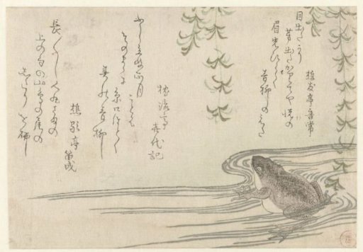 Frog under a Willow Tree