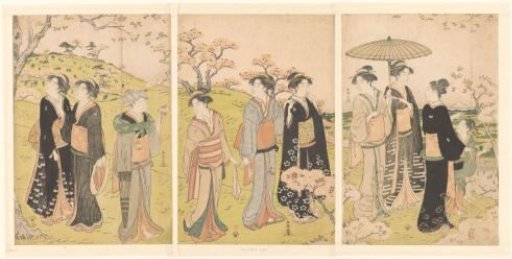 Admiring the Cherry Blossoms at Asukayama