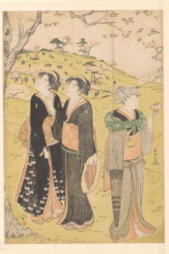 Viewing the cherry blossoms at Asukayama