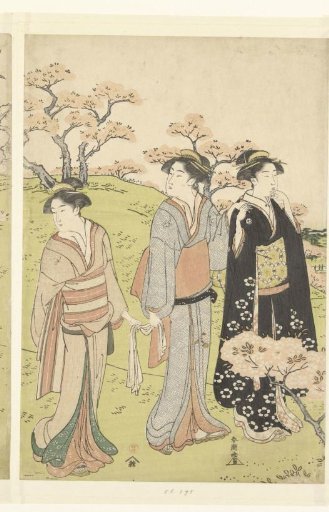 Viewing the cherry blossoms at Asukayama