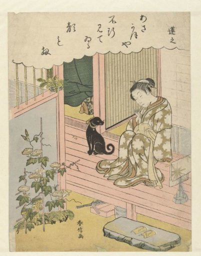 Woman looking at morning glories