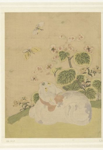 Cat and butterflies