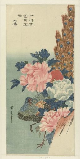 Peacock and peonies