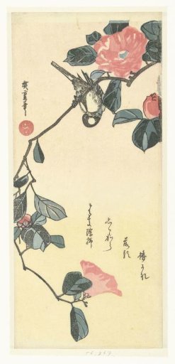 Bird and camellia
