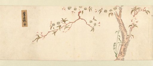 Blossoming Cherry Tree