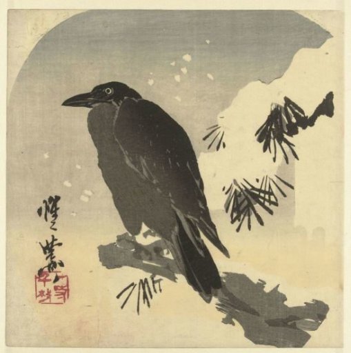 Crow on a Snow-Covered Pine Branch