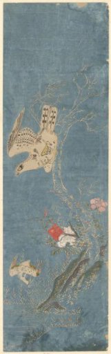 Hawk Hunting a Duck