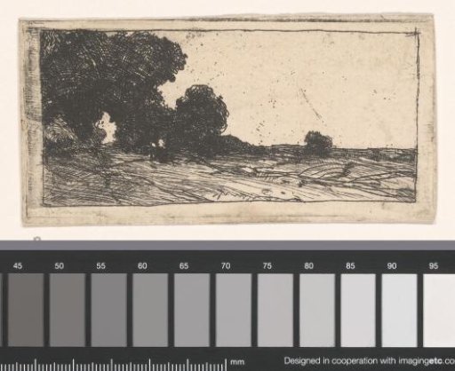 Landscape with Trees