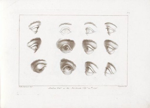 Twelve Eyes