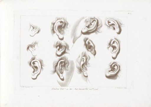 Twelve Ears