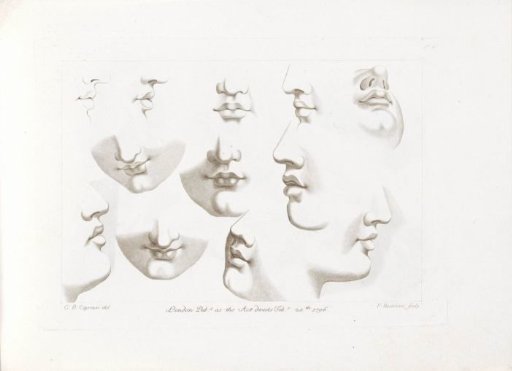 Twelve Noses and Mouths