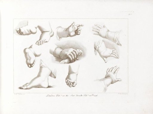 Five Hands and Five Feet of Children