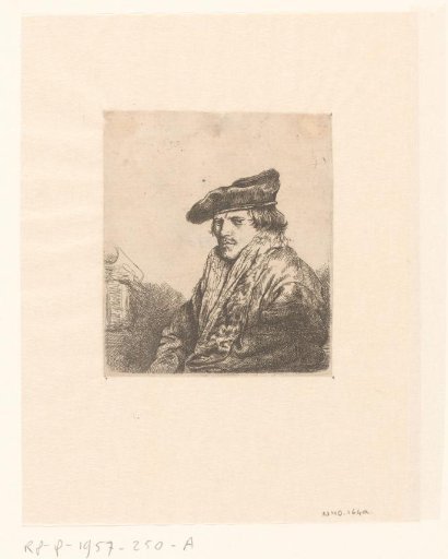 Young man in a velvet cap (Petrus Sylvius?)