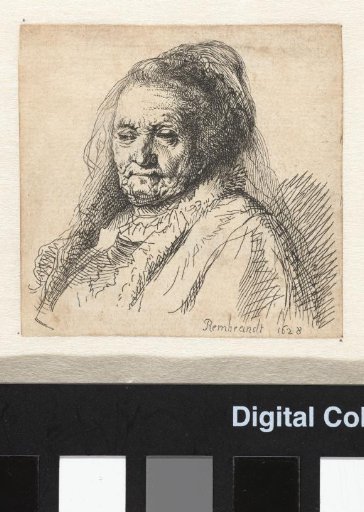 The artist's mother, head and bust: three-quarters right