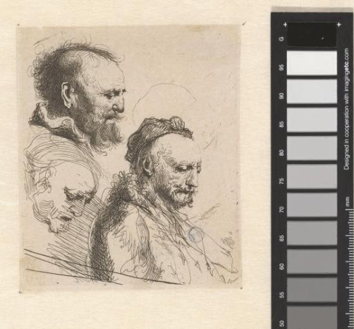 Three studies of old men's heads