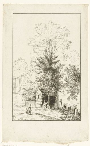 Wall of a Park with Tall Trees