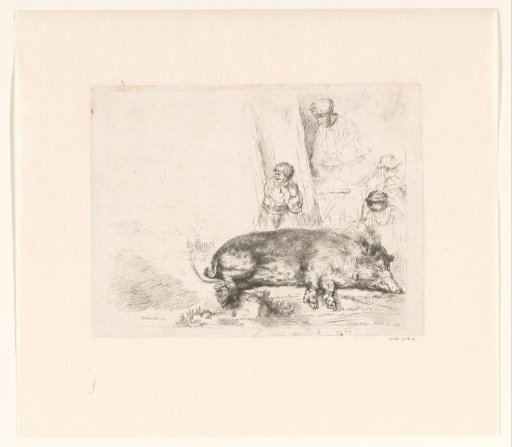 The hog