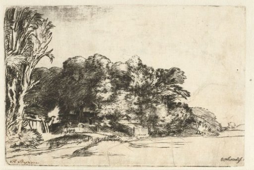 Clump of trees with a vista