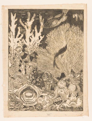 On the coral bottom