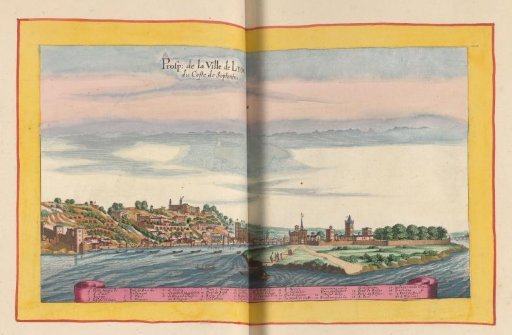 View of Lyon from the North
